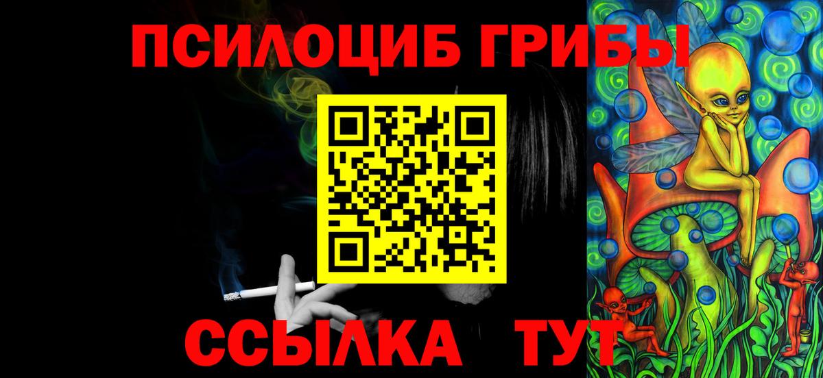 Псилоцибиновые грибы прущие грибы  Вход с VPN  где найти   Губкинский 