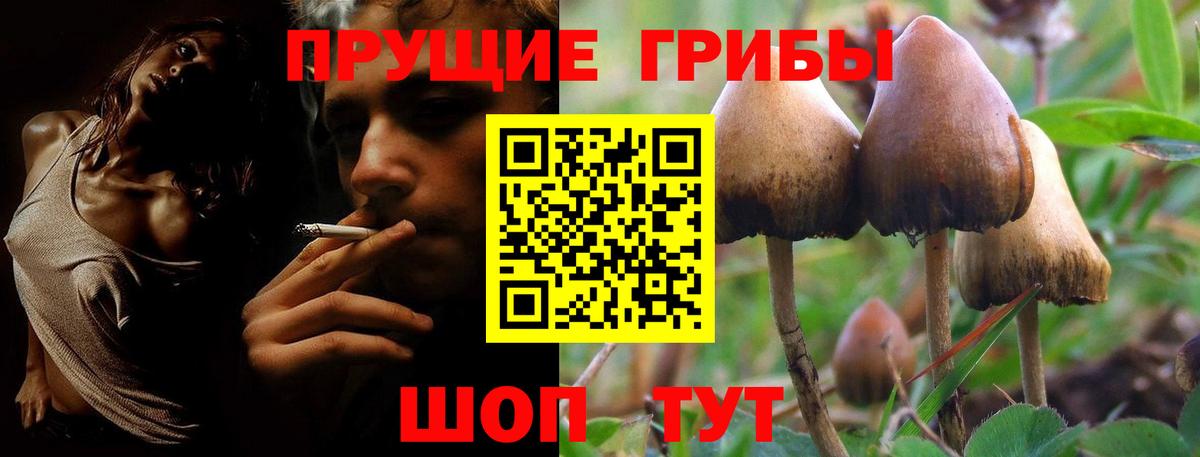 Псилоцибиновые грибы ЛСД Губкинский